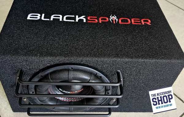 Black Spider 8 inch 6000w sub in ported box